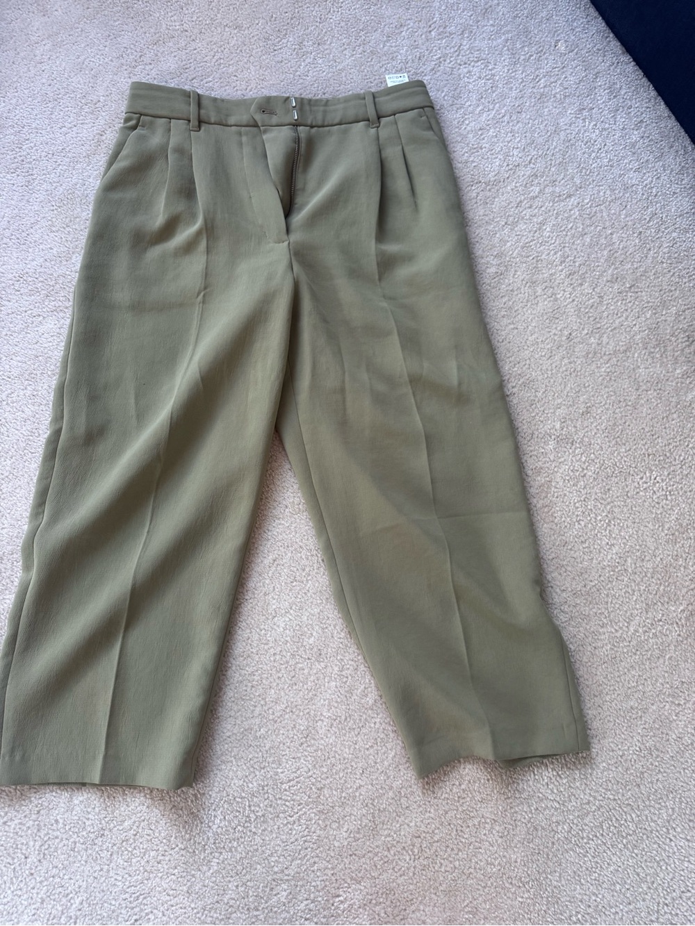 Aritzia Cropped Wide-Leg Trousers in Olive